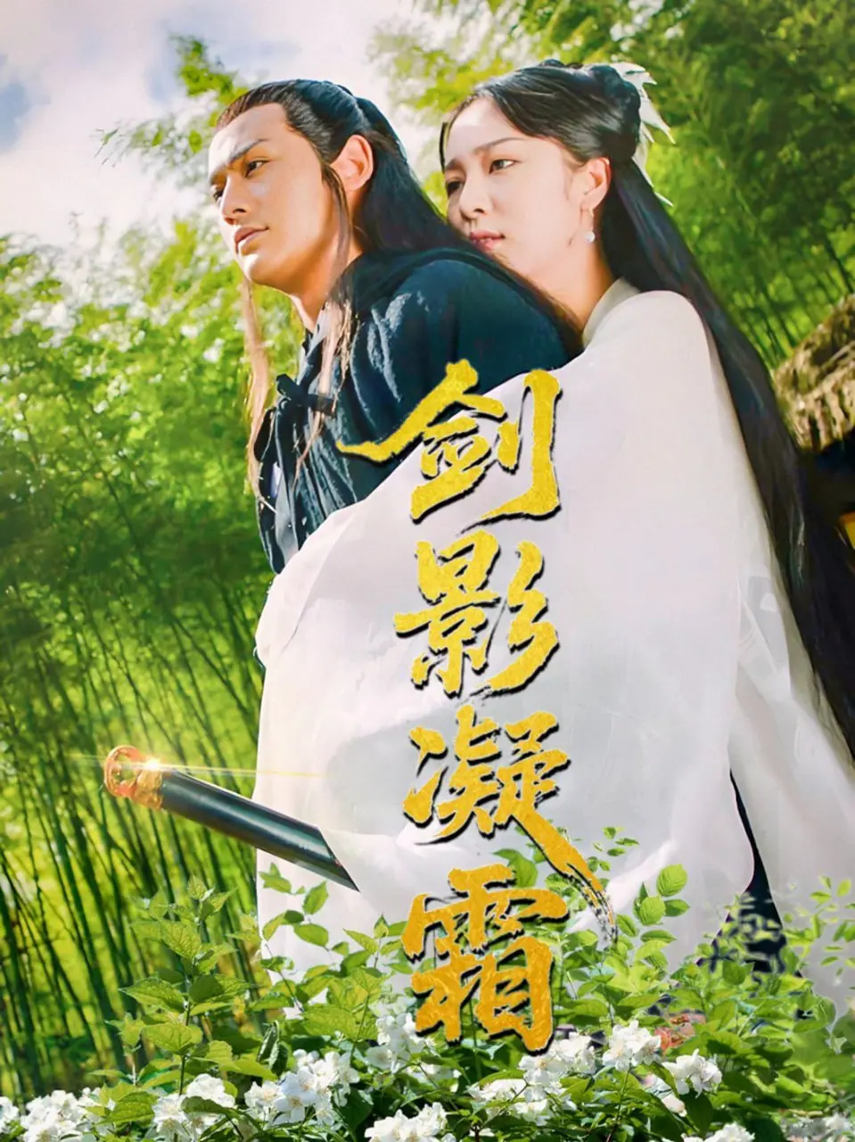 剑影凝霜：武侠世界的爱恨情仇与江湖恩怨