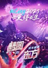 梦圆东方·2025跨年盛典：视听盛宴，点燃新年激情