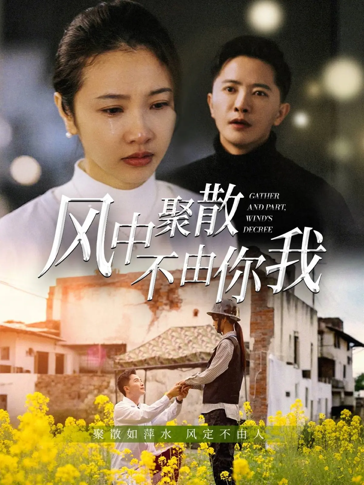 情感交织的风中聚散：电影《风中聚散不由你我》的命运解读