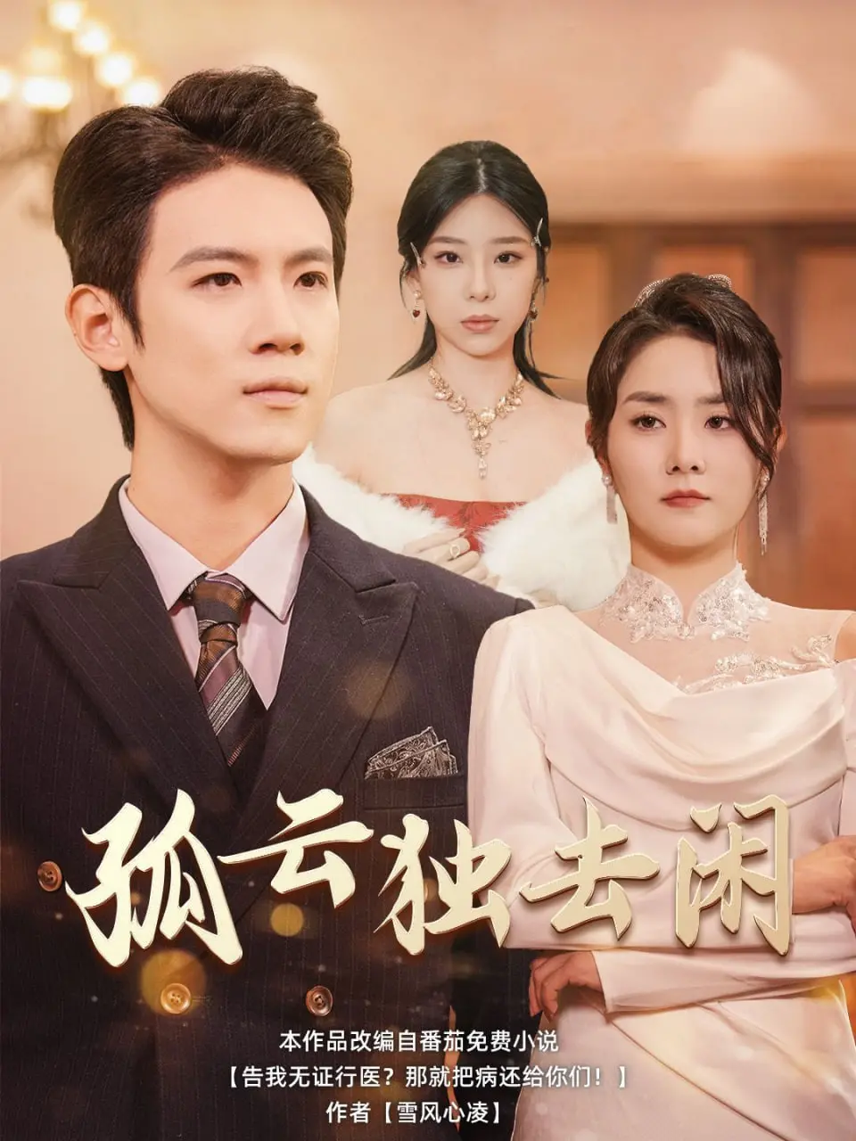 孤云独去闲 海报