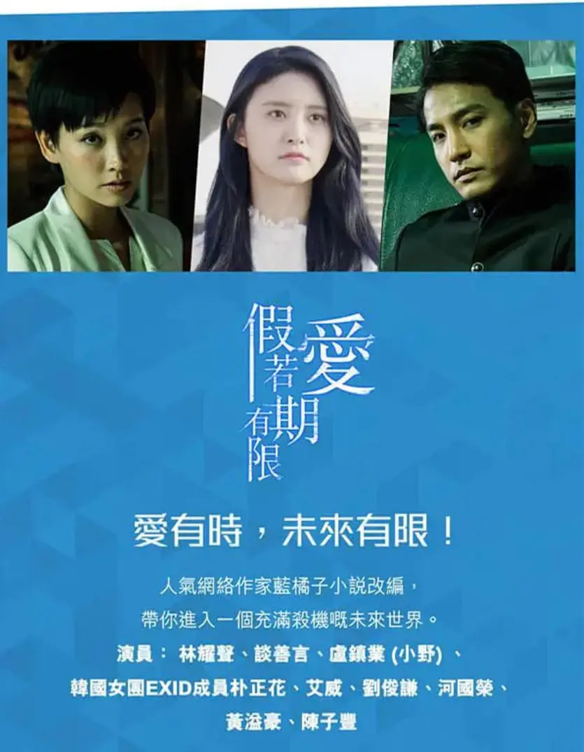 假如爱有期限 海报